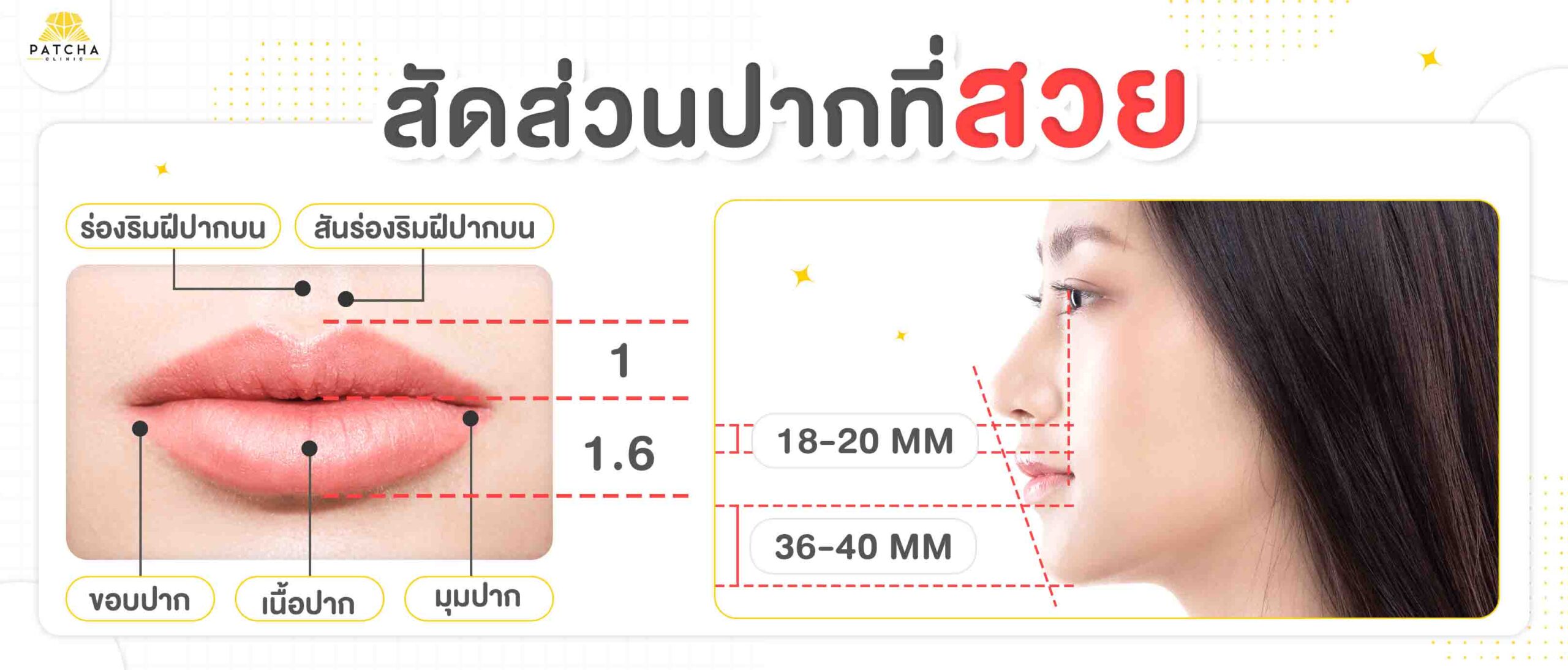 สัดส่วนปากที่สวย