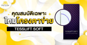 ไหมโครงตาข่าย