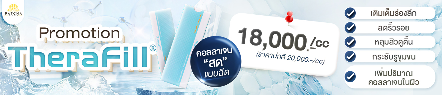 โปรtherafill-pc